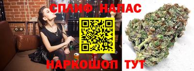 ГАЛЛЮЦИНОГЕННЫЕ ГРИБЫ Бузулук