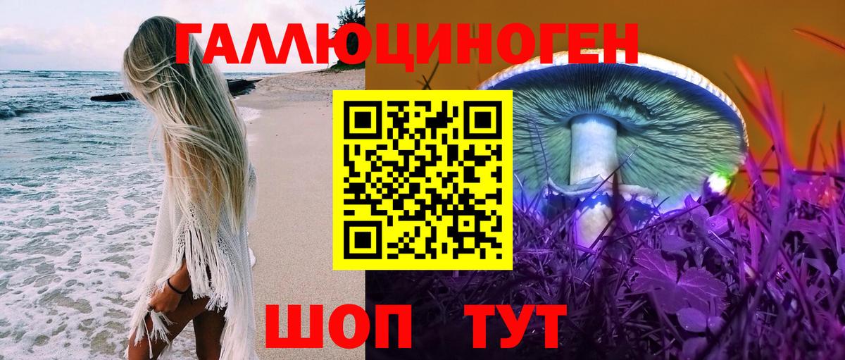 закладки  Вход с VPN  Стерлитамак  Псилоцибиновые грибы Psilocybe 