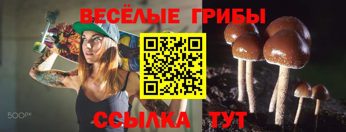 Галлюциногенные грибы GOLDEN TEACHER Стерлитамак